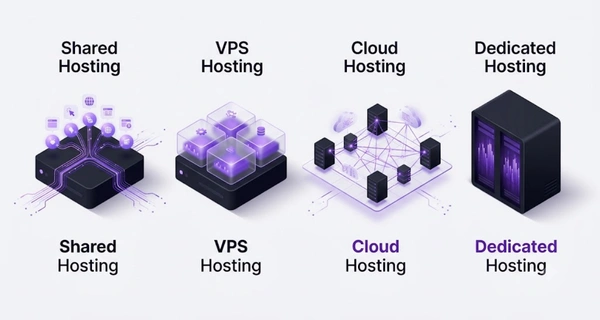 Hosting Nedir
